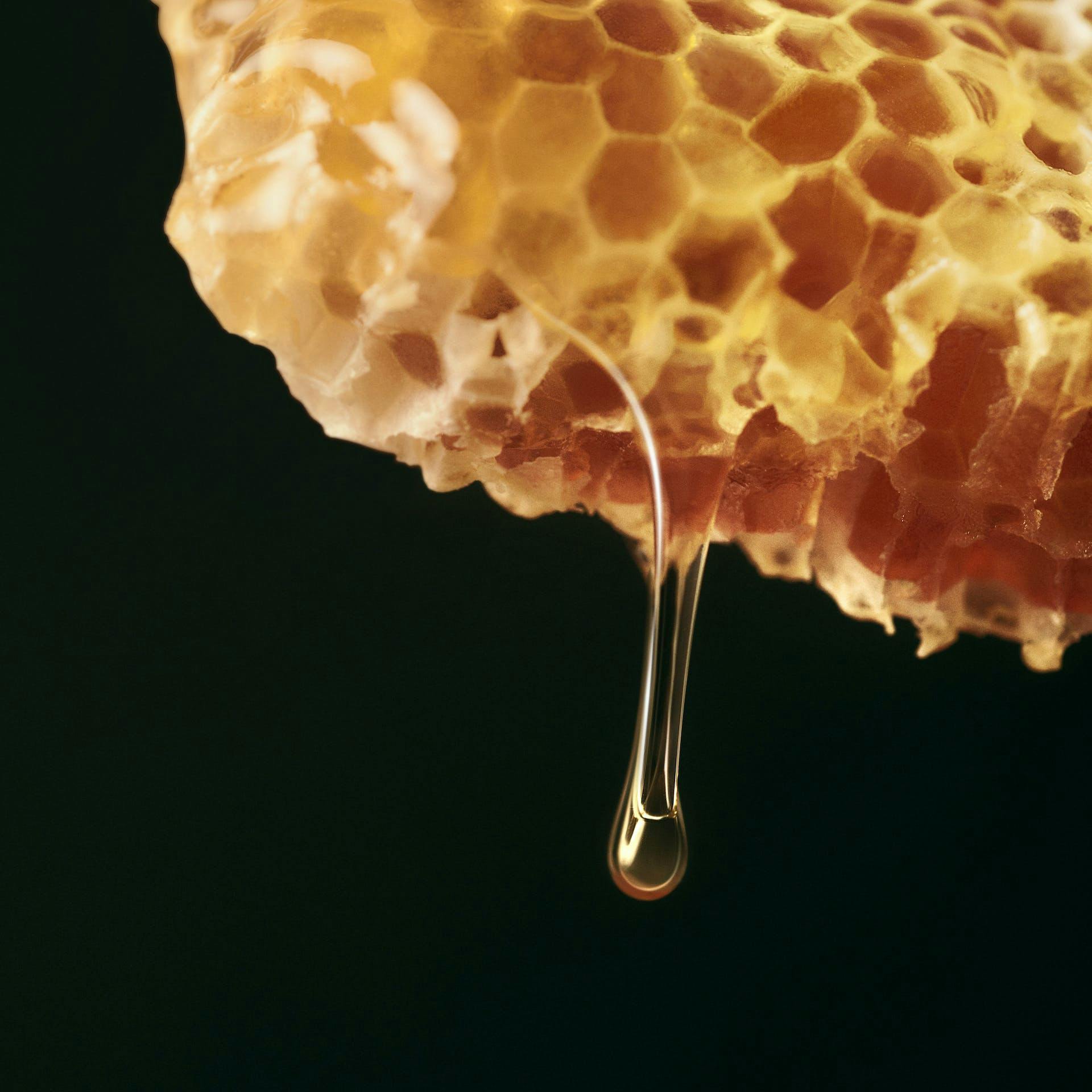 Honey drip